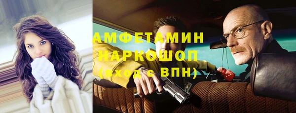 стаф Алексин