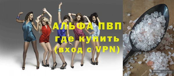стаф Алексин