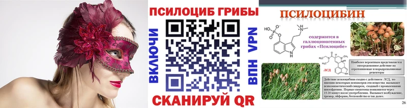 как найти   Исилькуль  Галлюциногенные грибы Magic Shrooms 